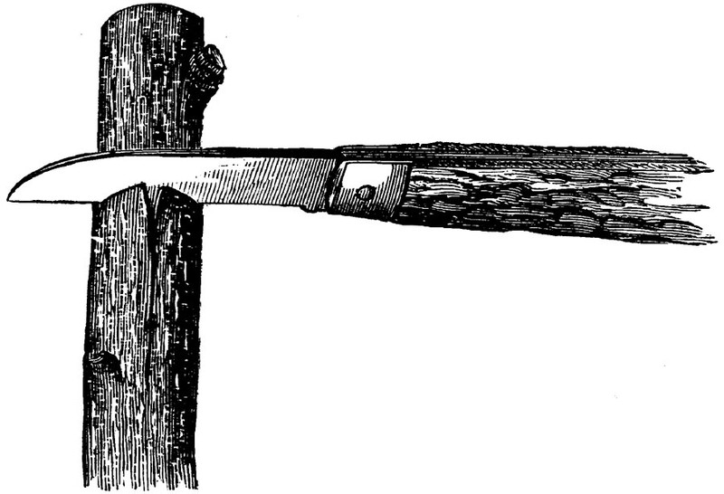 Figure 19.