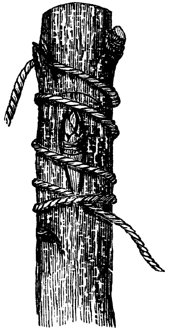 Figure 22.
