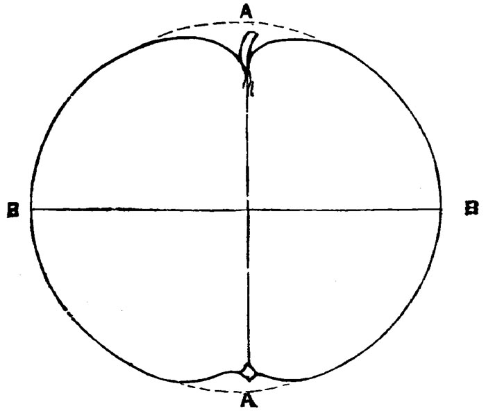 Figure 30.