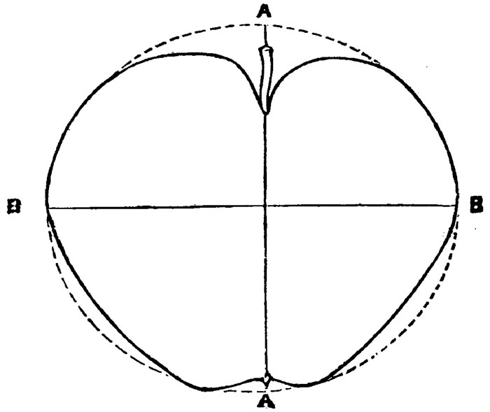 Figure 31.