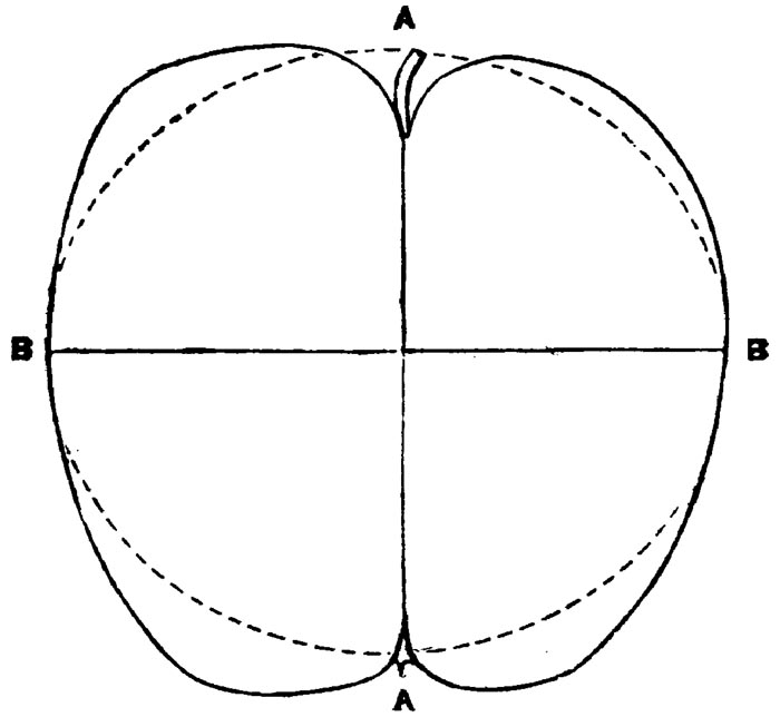Figure 32.