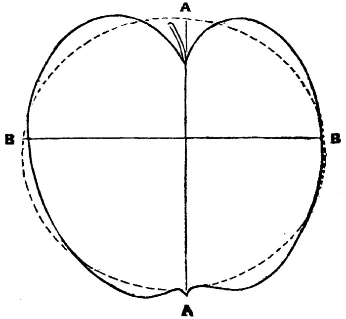 Figure 33.