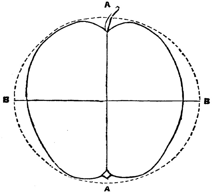 Figure 34.