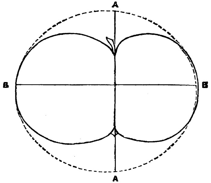 Figure 35.