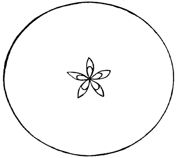 Figure 36.