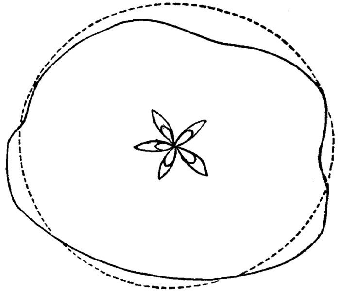 Figure 37.