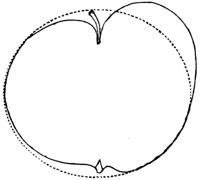 Figure 38.