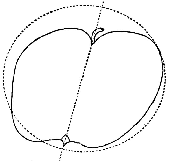 Figure 39.