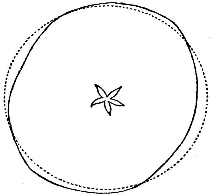 Figure 40.