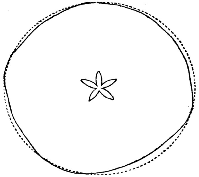 Figure 41.