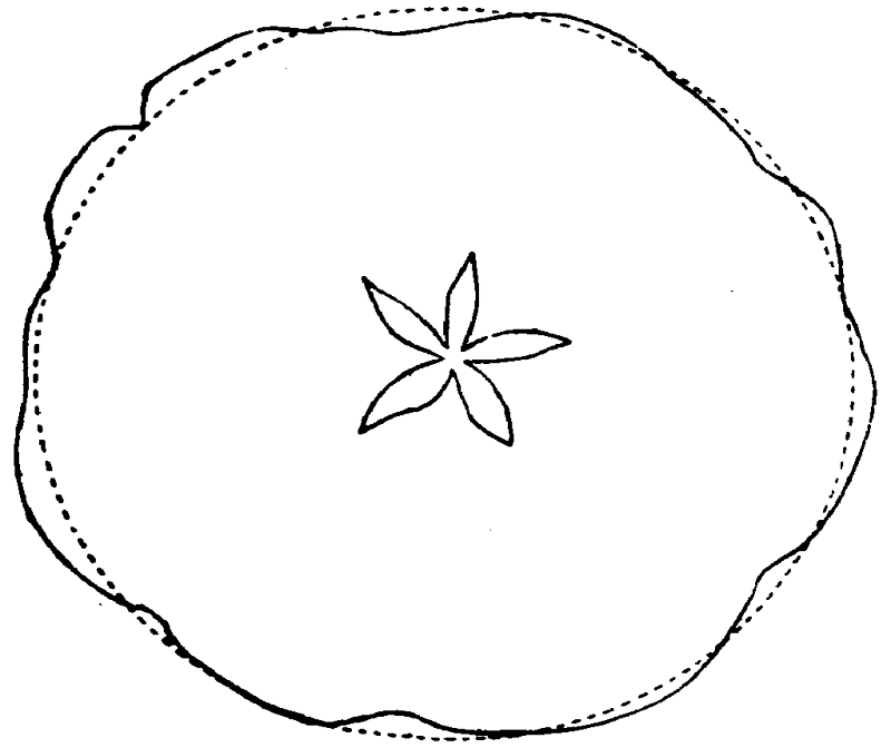 Figure 42.