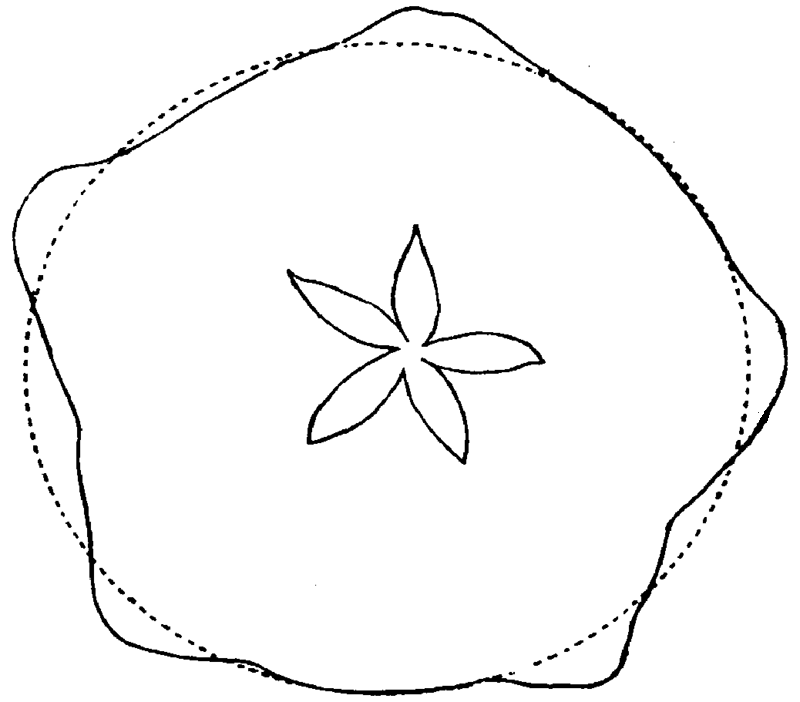 Figure 43.