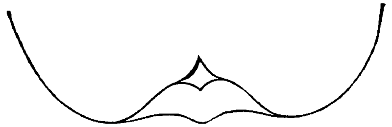 Figure 44.