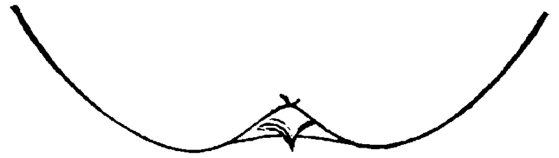 Figure 45.