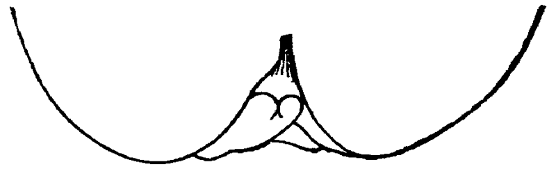Figure 46.