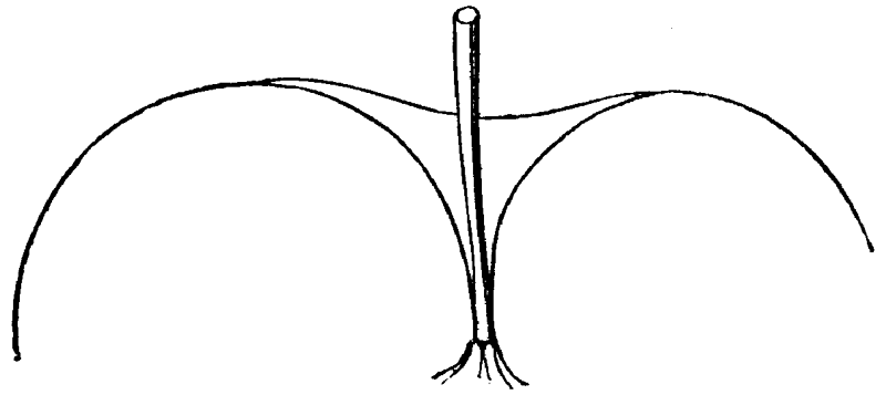 Figure 47.