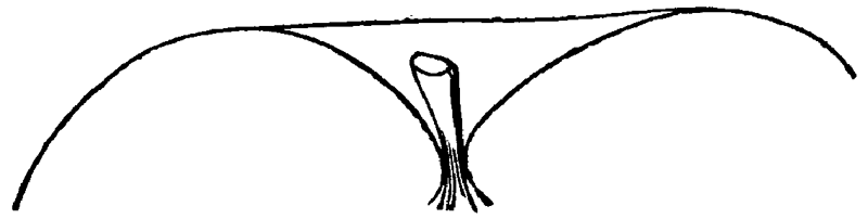Figure 48.