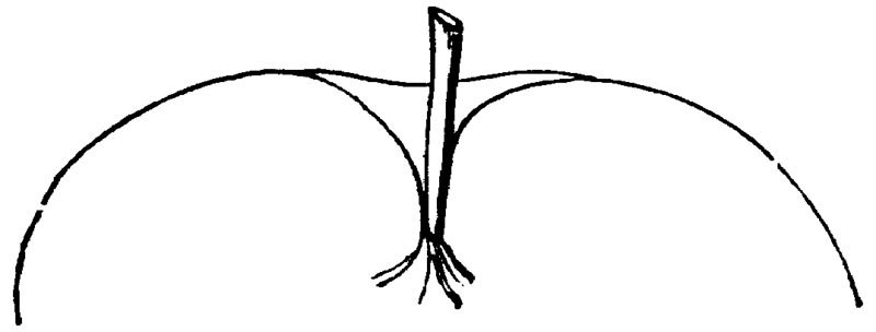 Figure 50.