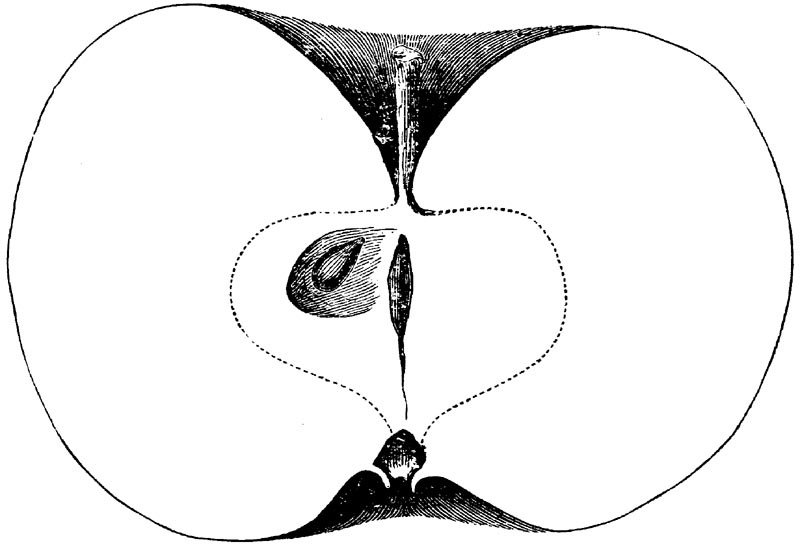 Figure 88.
