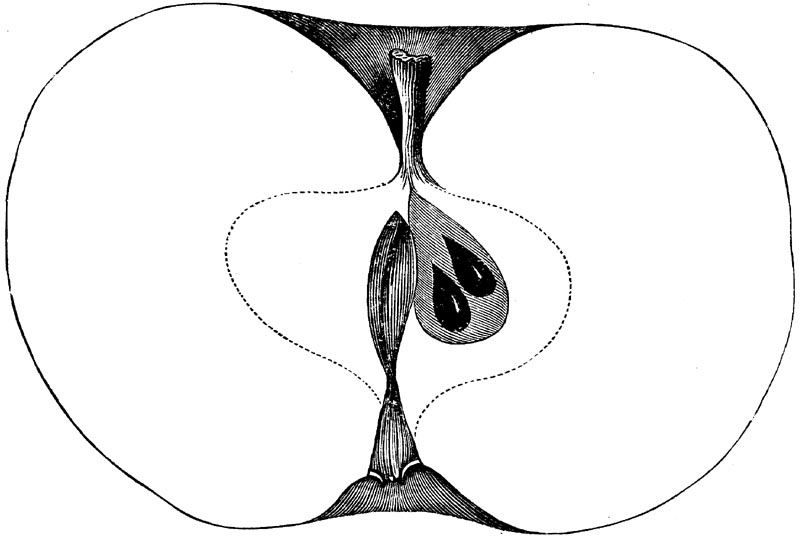 Figure 89.