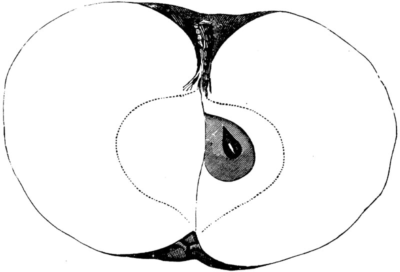 Figure 90.