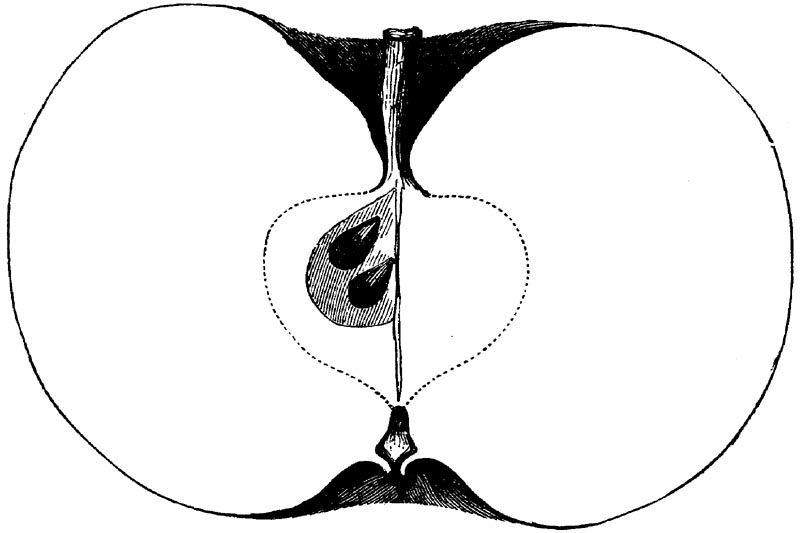 Figure 91.