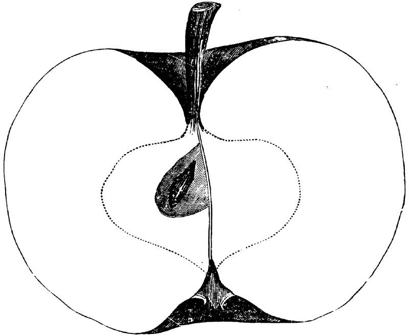 Figure 92.