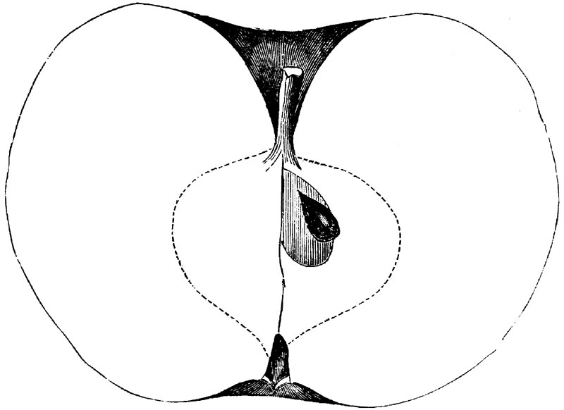 Figure 93.