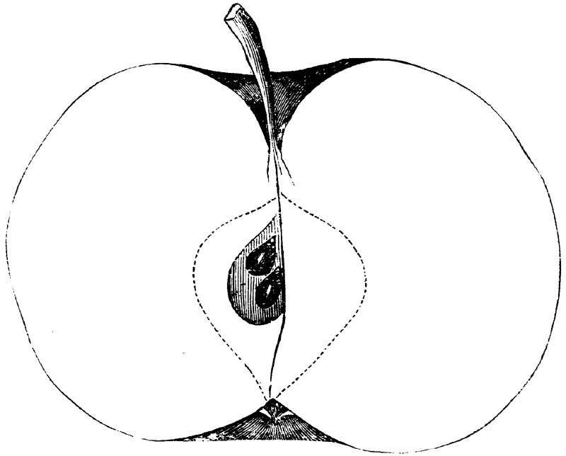 Figure 95.