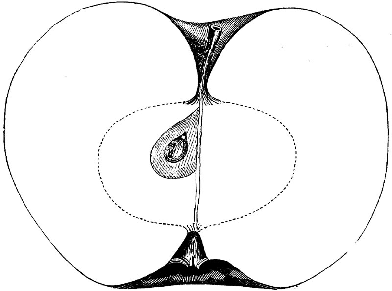 Figure 96.