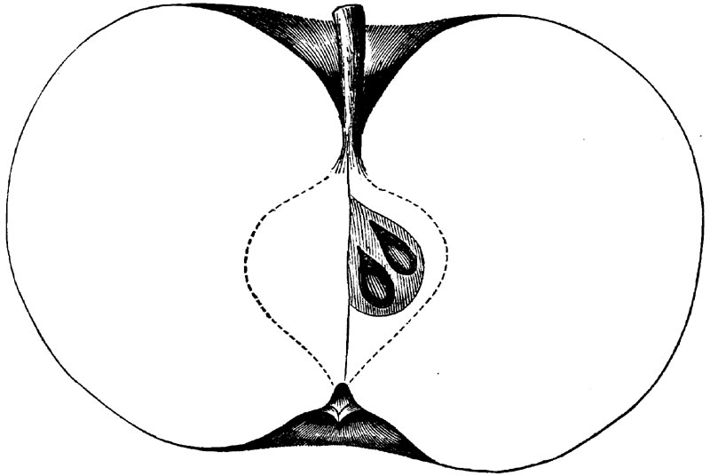 Figure 97.