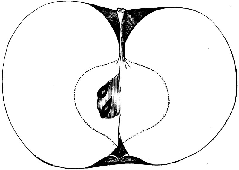 Figure 98.