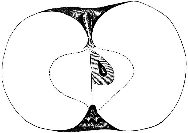 Figure 99.