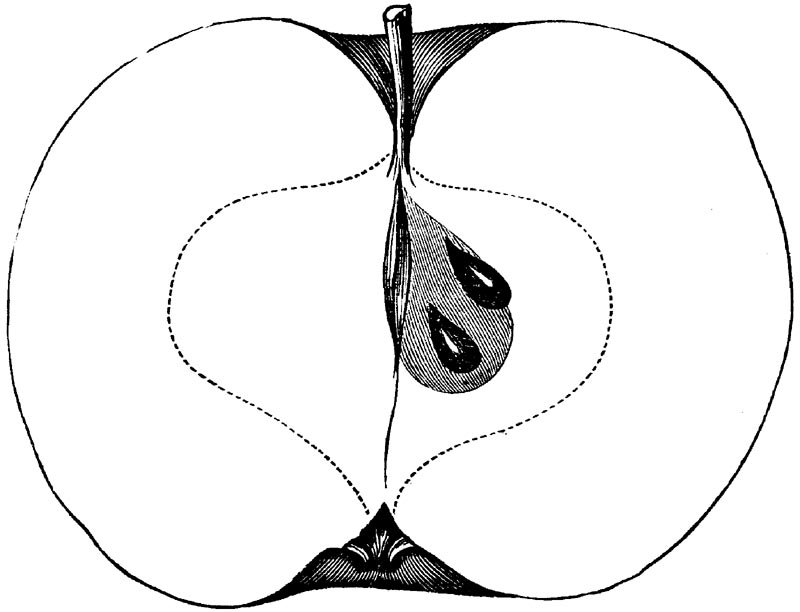Figure 100.