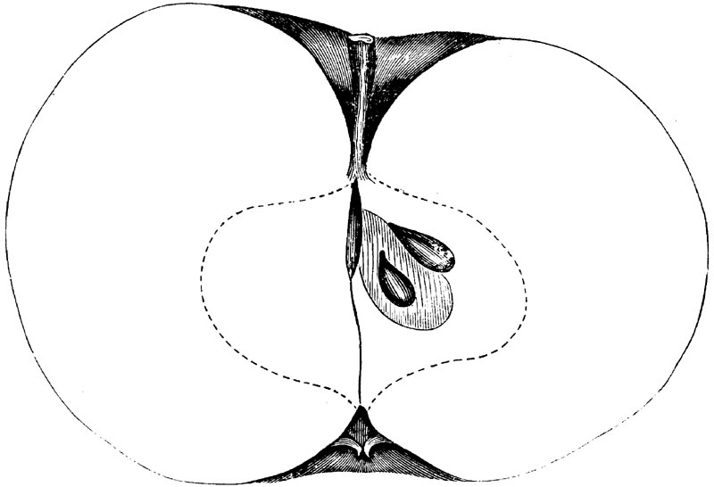 Figure 101.