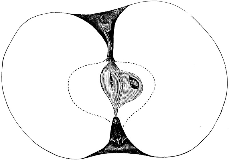 Figure 102.