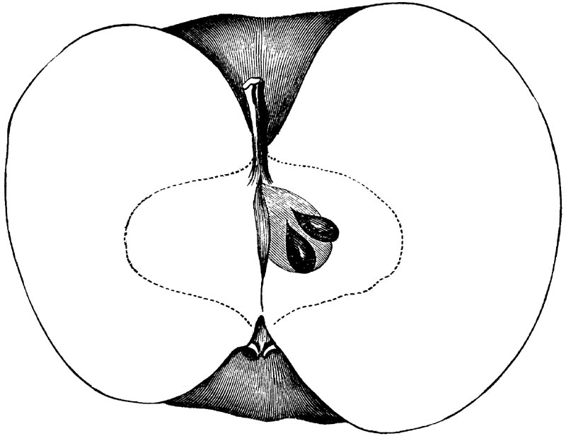 Figure 103.