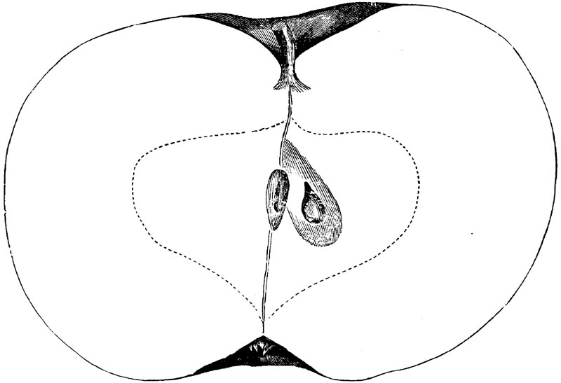Figure 104.