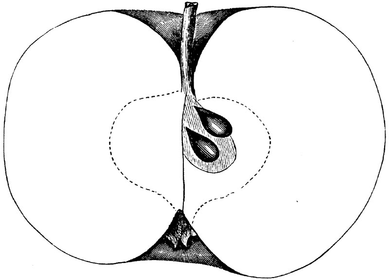 Figure 105.