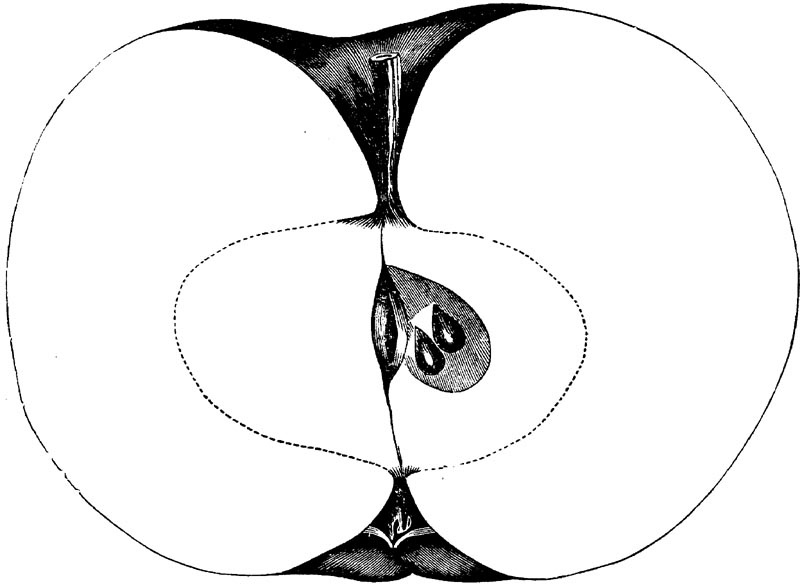 Figure 106.