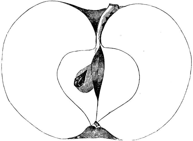 Figure 107.