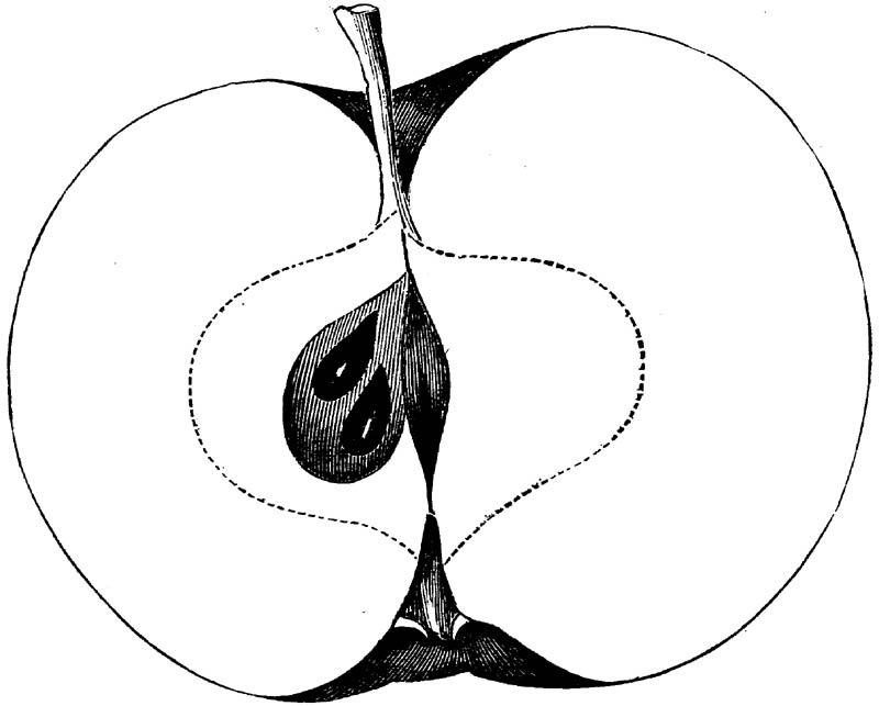 Figure 261.