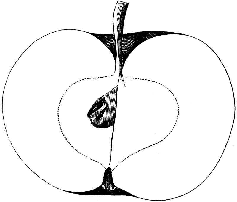 Figure 262.