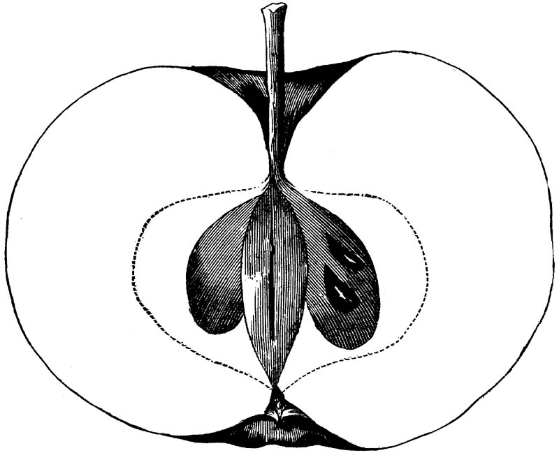 Figure 263.