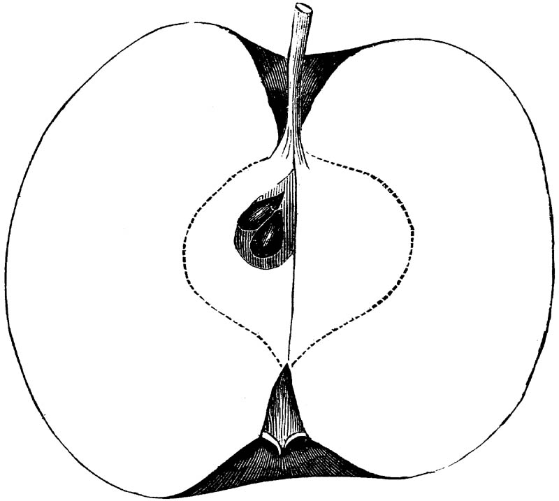 Figure 264.