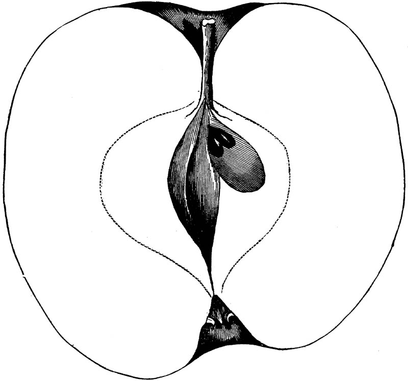 Figure 265.