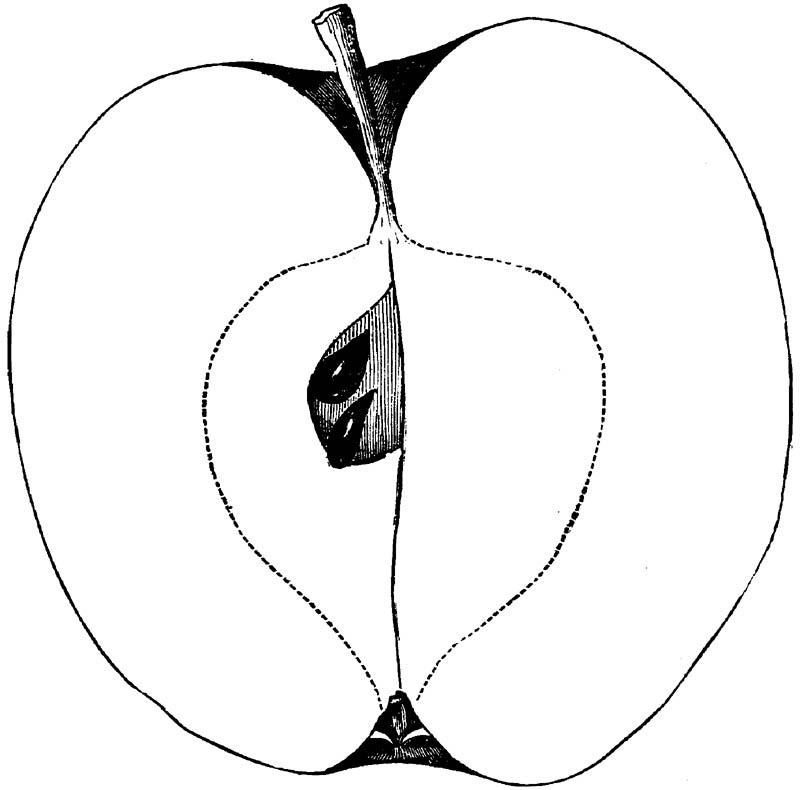Figure 267.