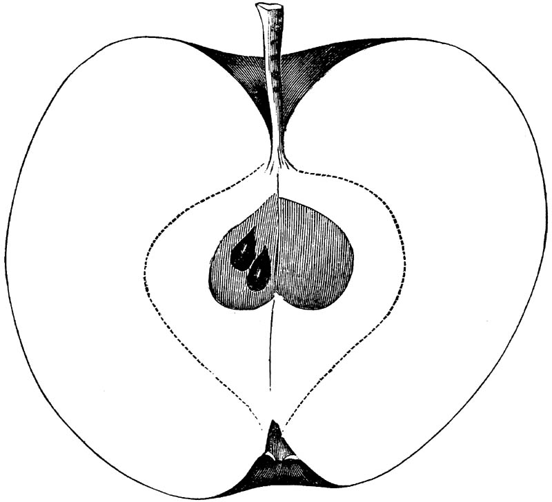 Figure 268.