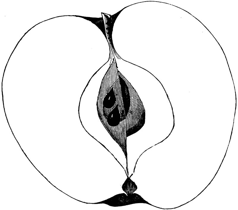 Figure 269.