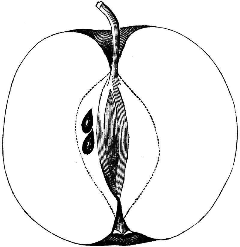 Figure 270.